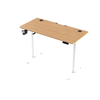 Techsend Electric Adjustable Lifting Desk PEL1460 elektromos állítható magasságú íróasztal (140 x 60 cm) Wood/Fa mintás PEL1460WFW