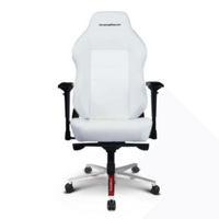ArenaRacer Gamer szék fehér