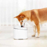 Kép 4/4 - Xiaomi Petkit Pawbby kutya és macska itató szökőkút